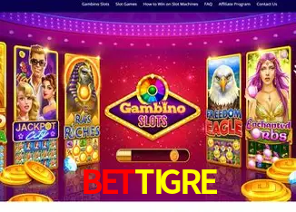 BETTIGRE Rio de Janeiro - Bonus Terms